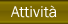 ATTIVITA'